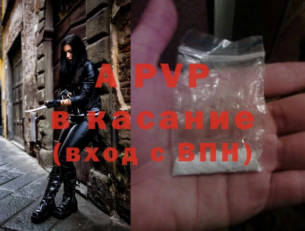стафф Надым