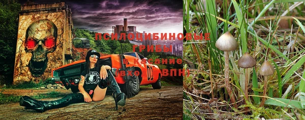 прущий лед Наволоки