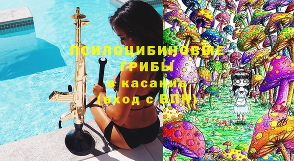 стафф Надым