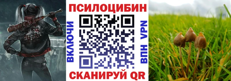 Псилоцибиновые грибы ЛСД  Баймак 
